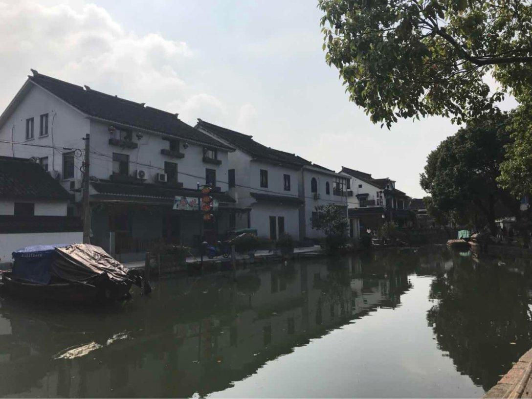 动物拼一拼